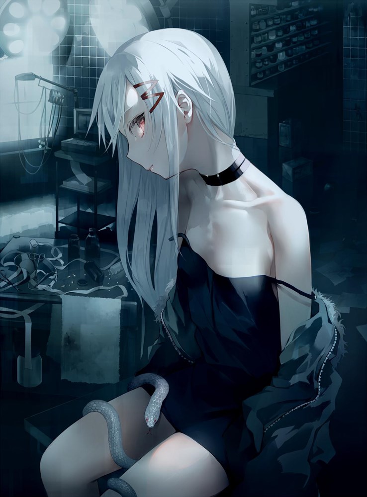 【二次】白髪・銀髪【画像】　その４９